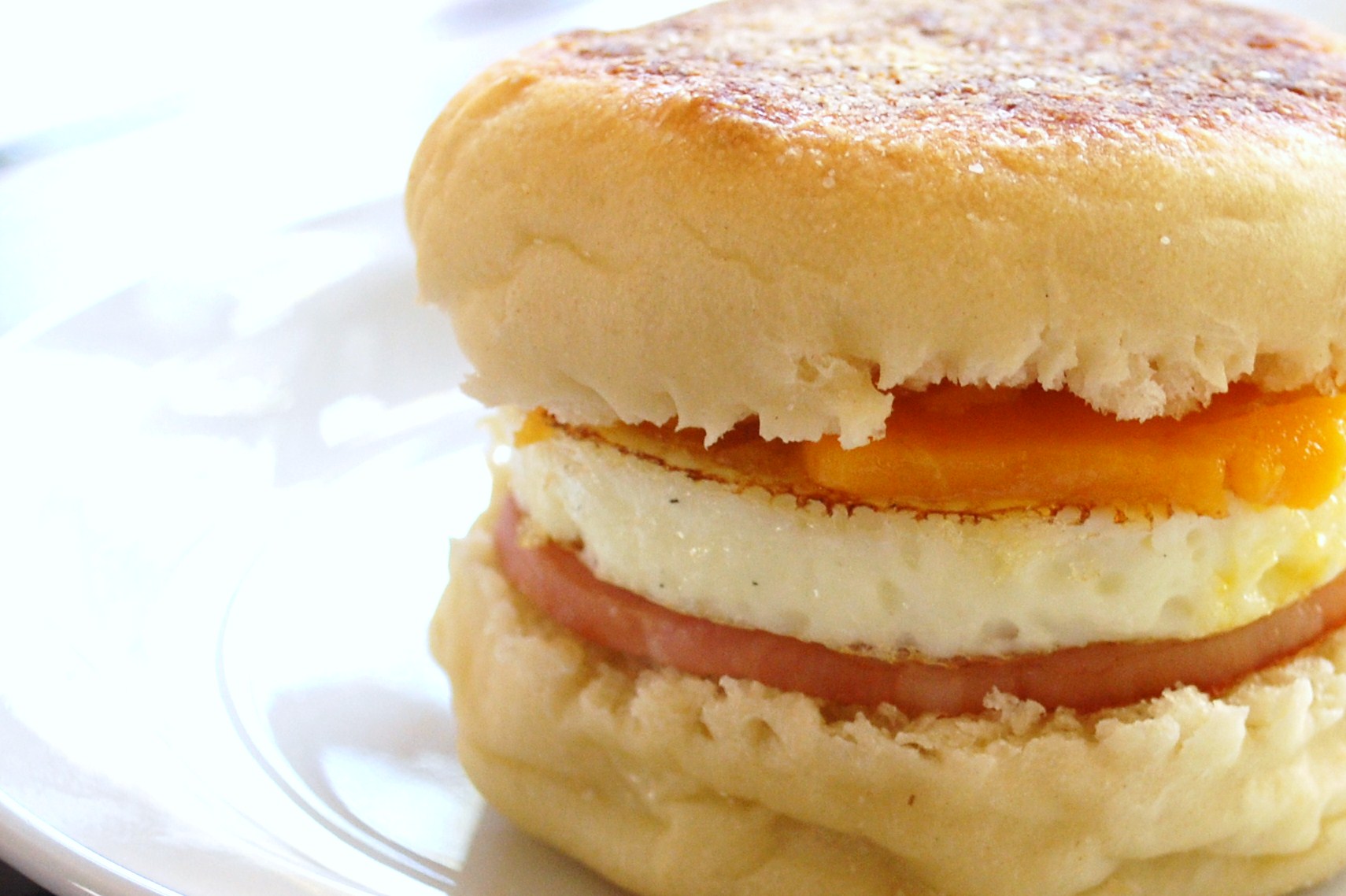 egg muffin egg muffin